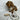 PUPPUCCINO - BUNDLE